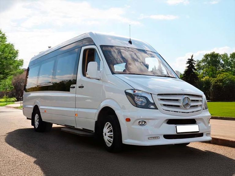 Микроавтобус Mercedes 519