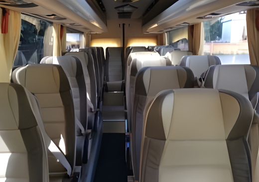 Микроавтобус Mercedes 519