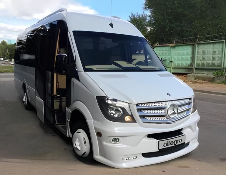 Микроавтобус Mercedes 519