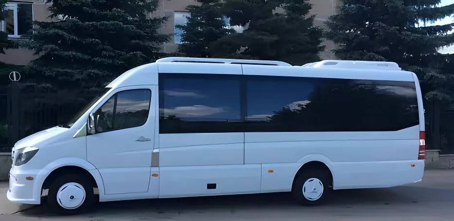 Микроавтобус Mercedes 519