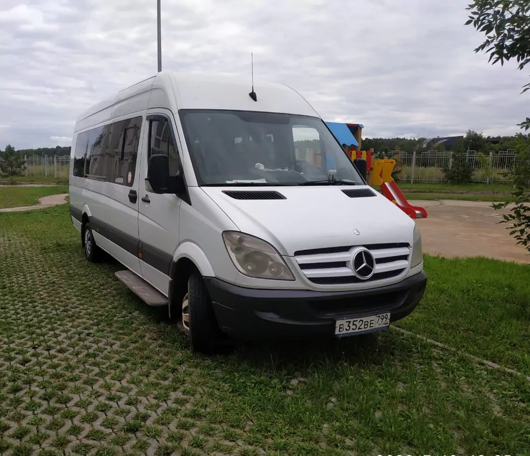 Микроавтобус Mercedes 313 Микроавтобус Mercedes 313